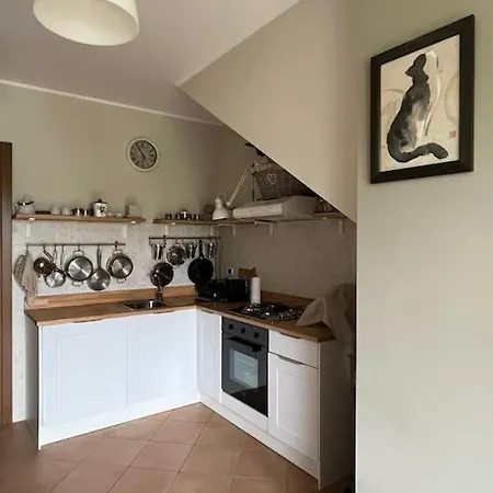 Apartman Sem Chi, The Oasis On The
