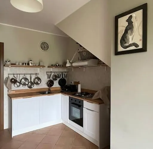 Apartman Sem Chi, The Oasis On The